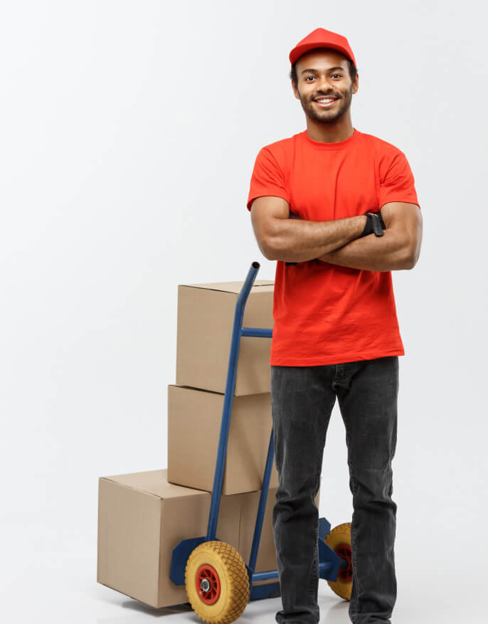 Ace Packers and Shifter - Best Packing and Moving Services